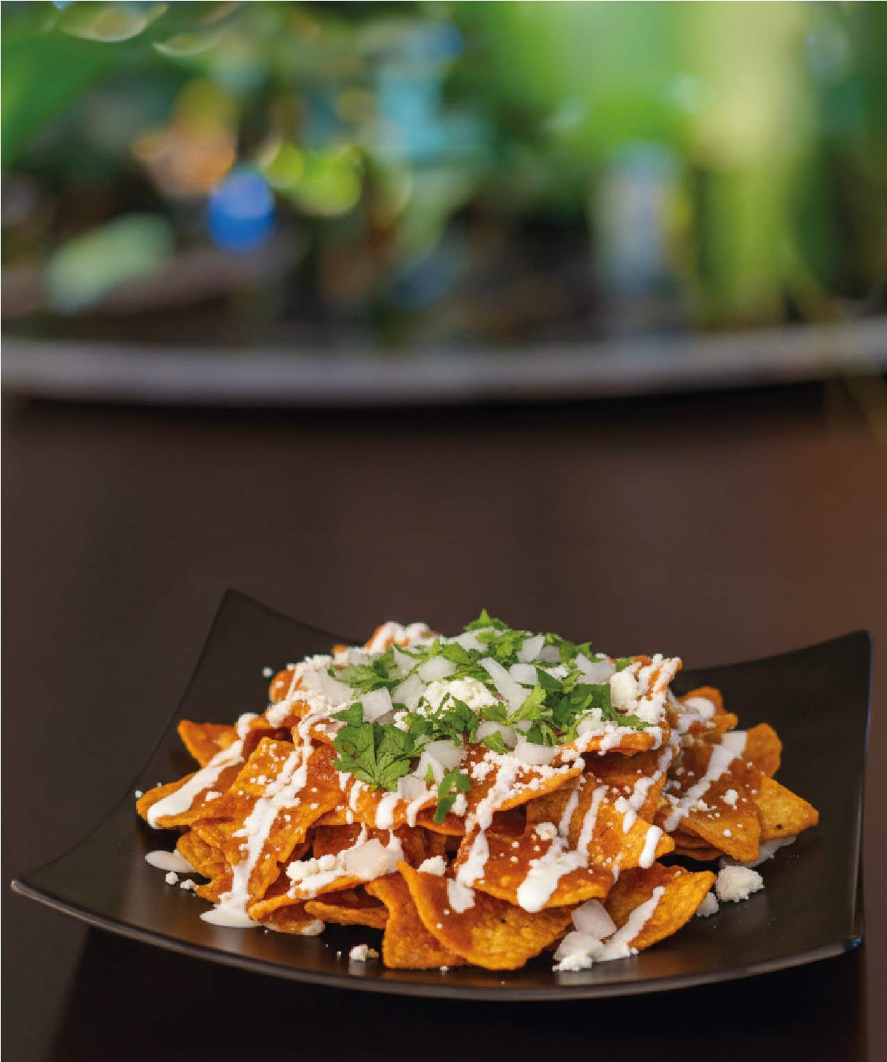 CHILAQUILES SENCILLOS